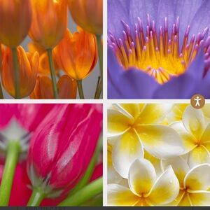 Vibrant Floral Art Glass Decor